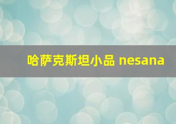 哈萨克斯坦小品 nesana